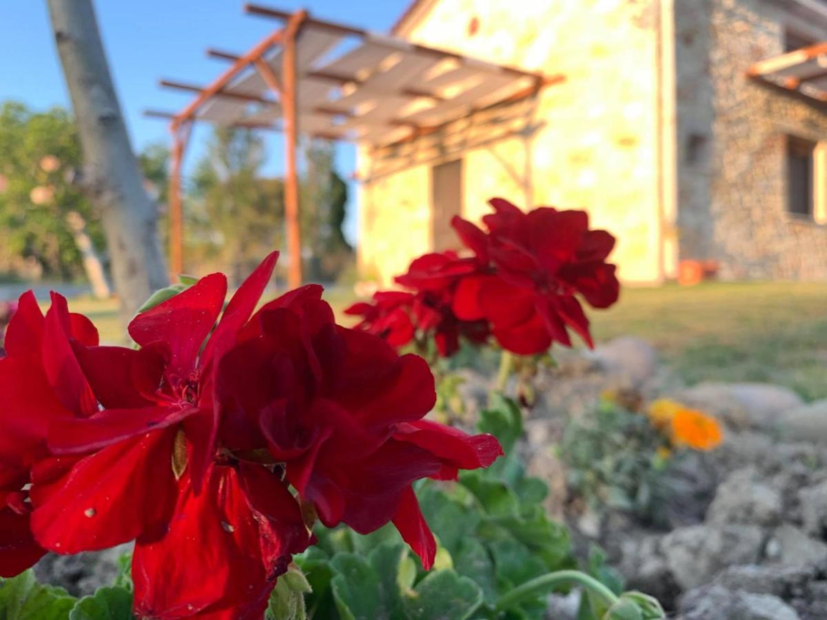 Apartamento To Petrino Spiti Possidi Exterior foto